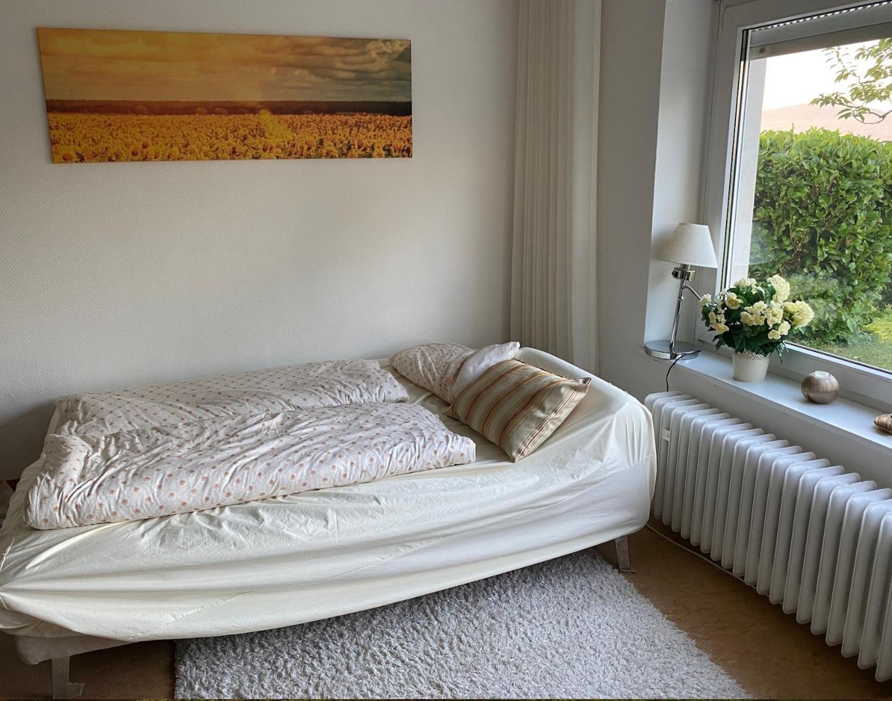 Ferienwohnung Paradies Nollingen Buitenkant foto